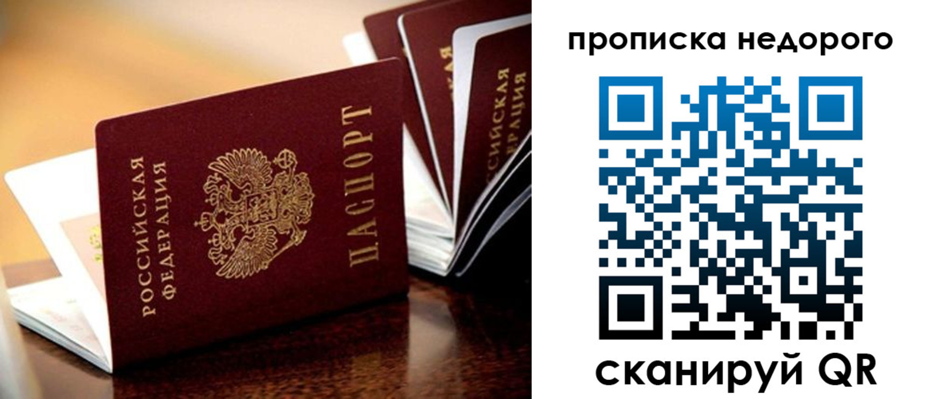пропишу в квартире в Балтийске